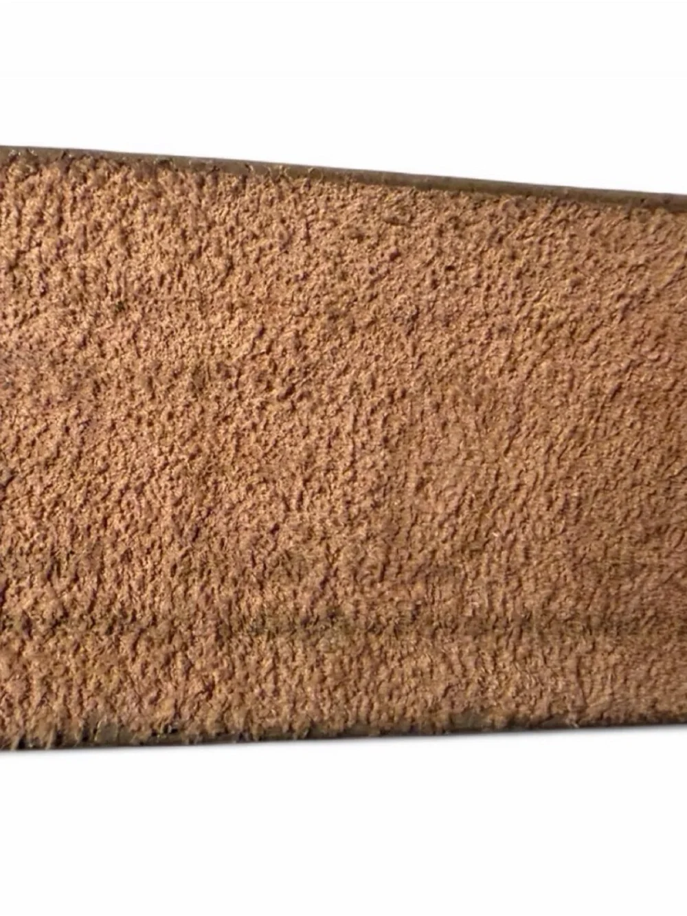 Y2K Snake-Embossed Leather Belt with Gold Buckle BEDO L